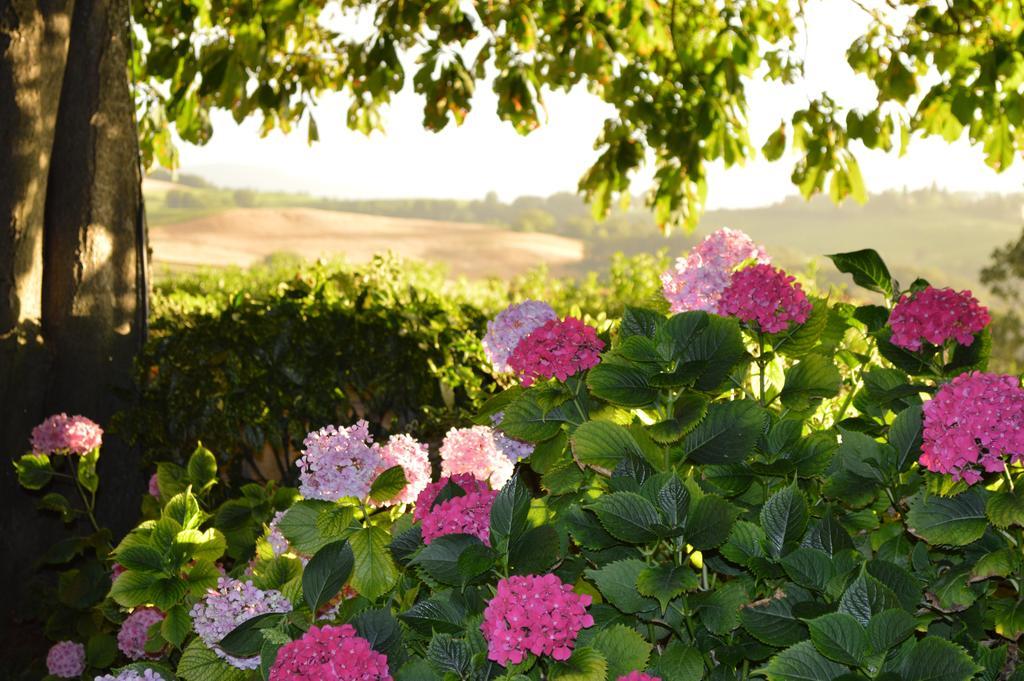Agriturismo Cavazzone Regnano (Reggio Emilia) Exterior foto